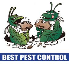 Locating the company that provides the best pest control services can. Pest Control Lake Of The Ozarks Best Pest Control Pest Control Osage Beach Mo