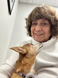 All about the chiweenie