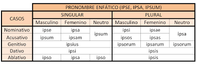 Some commentators claim that ipsa (she) is a copyist error, and that the original and only correct wording is ipse (he) or ipsum (neuter, referring to the neuter word offspring). Pronombre Enfatico Ipse Ipsa Ipsum Lenguas Clasicas