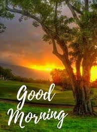 Good morning images of nature beauty. Good Morning Nature Images Hd Quotes Free Download