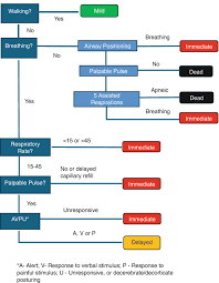 Image result for JumpSTART Triage