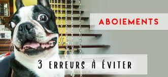 Top 4 Des Causent Qui Poussent Votre Chien A Japper Sans Cesse