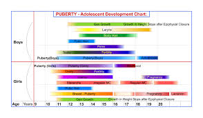 File Pubertal Human Development Chart Jpg Wikimedia Commons