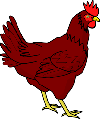 Nah, di zaman yang serba modern ini anda tak perlu khawatir. Chicken Hen Farm Animal Free Vector Graphic On Pixabay