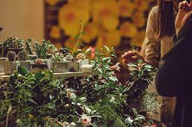 Jul 02, 2012 · you can definitely take an 8 month old in a backpack. The 10 Best Garden Centers And Nurseries In Minnesota
