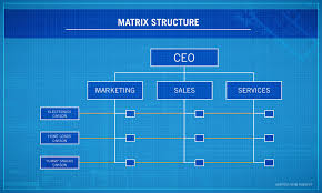 4 types of organizational structures point park online