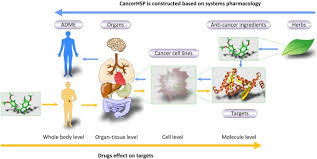 Cancerhsp Anticancer Herbs Database Of Systems Pharmacology Scientific Reports