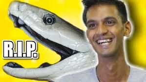 FATAL BLACK MAMBA BITE!!! RIP Ryan