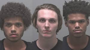 Boy's pet octopus shocks family by giving birth to 50 babies