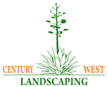 Best Gardening and Landscaping in Phoenix, Arizona of 2024 - Trees.com