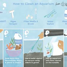 See full list on wikihow.com How To Clean A Dirty Fish Tank The Right Way