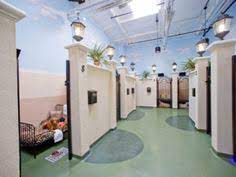 Free cancellation, book @rs.1 online hotel bookings all over the world. 12 Doggie Suite Ideas Dog Hotel Pet Boarding Pet Resort