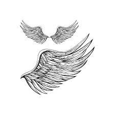 Drawings Of Angel Wings Angel Wing Drawings Angel Wings Found On Polyvore Wings Drawing Supernatural Tattoo Angel Wings Drawing