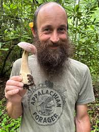 Wild mushrooms popping up in Virginia
