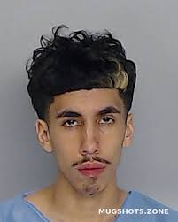 DELEON DYLAN 08/29/2024