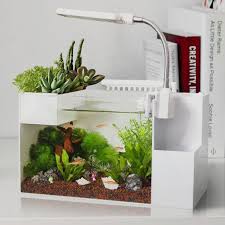 Making Everything Personal With Plastics You Can Almost Never Find The Prop Or Decorative Piece In A Store But A S Avec Images Aquaponie Systeme Aquaponique Paludarium