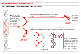 Je nachdem, wie weit der erbliche veitstanz vorangeschritten ist, sind die beschwerden unterschiedlich stark ausgeprägt. Huntington Krankheit Klinische Studie Testet Neues Medikament