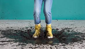 Check spelling or type a new query. Sols Stratifies Resistant A L Eau Site Officiel De Pergo