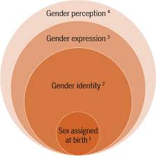 Foundational Concepts And Affirming Terminology Related To Sexual Orientation Gender Identity And Sex Development Lahms