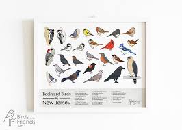 Backyard Birds Of New Jersey Field Guide Backyard Birds Of New Jersey Field Guide Print Bird Illustration Cute Bird Wall Art Cute Bird Painting Cute Birds Prin Bird Prints Backyard Birds Bird Wall Art