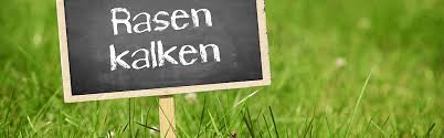 Wann, wie & gleichzeitiges düngen? Rasen Kalken