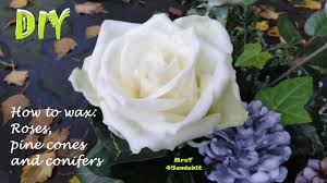 Maybe you would like to learn more about one of these? Diy How To Preserve Roses With Wax Waxed Pine Cones Conifers Christmas Decorations Dekoideenland Youtube