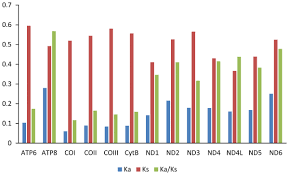 Check spelling or type a new query. First Complete Mitogenomes Of Diamesinae Orthocladiinae Prodiamesinae Tanypodinae Diptera Chironomidae And Their Implication In Phylogenetics Peerj