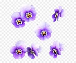 Zoom options will be available since change function of fileuploader is invoked. Fiori Viola Png Flores Color Lila Png Transparent Png 750x720 2064297 Pngfind