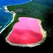 زيارة إلى البحيرة الوردية بحيرة هيلير باستراليا Images?q=tbn:ANd9GcQwbotBSh5g1BsW7p4jG8LOjCWLqrf3nOoUVYfSr-a8pJsfws2S