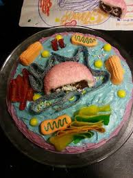 Pin By Glodin On Celula Animal Animal Cell Animal Cell Project Cells Project