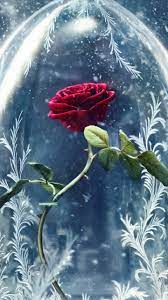Maybe you would like to learn more about one of these? 24 Beauty And The Beast Rose Wallpapers On Wallpapersafari