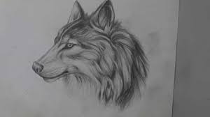 The drawing was done freehand within abou. Pencil Drawing Of A Wolf Long Version Youtube