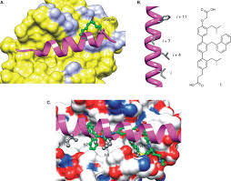 Image result for BCL2 Inhibitor