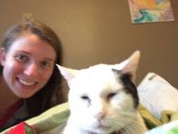 Wet Food War! Cats crave those cans constantly..what happens when it runs  out?