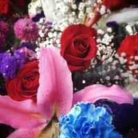 Check spelling or type a new query. Hortensia S Flowers 1 Tip From 5 Visitors