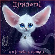 скачать бесплатно картинки на телефон с надписью про любовь Https Encrypted Tbn0 Gstatic Com Images Q Tbn 3aand9gcrg5mvybhbqv8rot5huiq2ubnbcf9opludn3w Usqp Cau