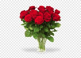 Rose dallaspetto quasi reale ortensie verde a foglia verde, graner, ghirlanda di perle e molto altro ancora. Rose Flower Bouquet Graphy Fiore Artificiale Mazzo Di Rose Pianta Annuale Fiore Artificiale Png Pngegg