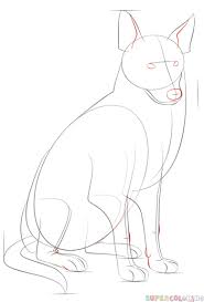 How To Draw A Border Collie Step By Step Drawing Tutorials Dog Drawing Drawing Borders Drawings