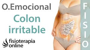 Los cuatro lugares clave que debe considerar son: Ciatica O Ciatalgia Izquierda Y Su Relacion Con El Intestino Grueso Y Colon Irritable Fisioonline