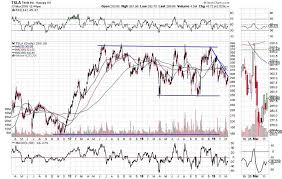 tesla beware of a dead cat bounce