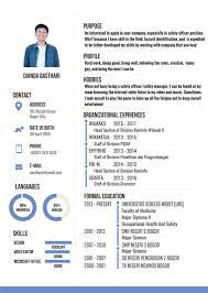 Where to download high quality professionally created free microsoft office resume and cv templates, sample and layout? 30 Contoh Cv Daftar Riwayat Hidup Terbaru 2020 Siap Download Anakui Com