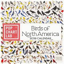 Birds Of North America By Pop Chart Lab Wall Calendar 2019 Other