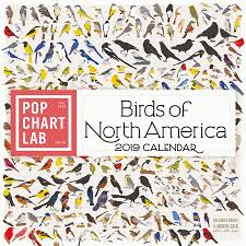 birds of north america by pop chart lab wall calendar 2019 other