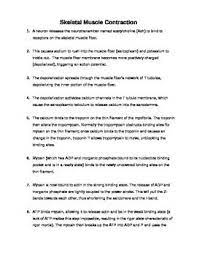 Step By Step Quick Review Of Skeletal Muscle Contraction Study Aid Handout Skeletal Muscle Contractions Muscle Contraction