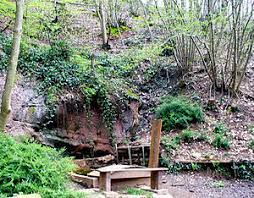 He was an important god of the treveri tribe, who had large sanctuaries at medicinal springs at trier and the martberg by pommern in what is now. Lenus Wikipedia