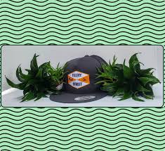We did not find results for: Tillery Street Plant Co Snapback Hat Tillery Street Plant Company