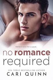 No Romance Required (Love Required Book 3) eBook : Quinn, Cari:  Amazon.co.uk: Kindle Store