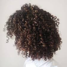 Curly Natural Hair Highlights Natural Hair Highlights Natural Hair Styles Curly Hair Styles Naturally