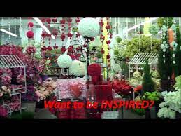 Check spelling or type a new query. Kennicott Brothers Company Floral Wholesale Chicago Tour Youtube