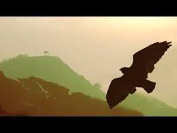Relaxation Music Instrumental Pan Flute 2 Hours Flute De Pan To Relax Pan Flute Flute Music